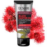 Dr. Santé Black Castor oil conditioner 200ml posilňujúci proti vypadávaniu vlasov